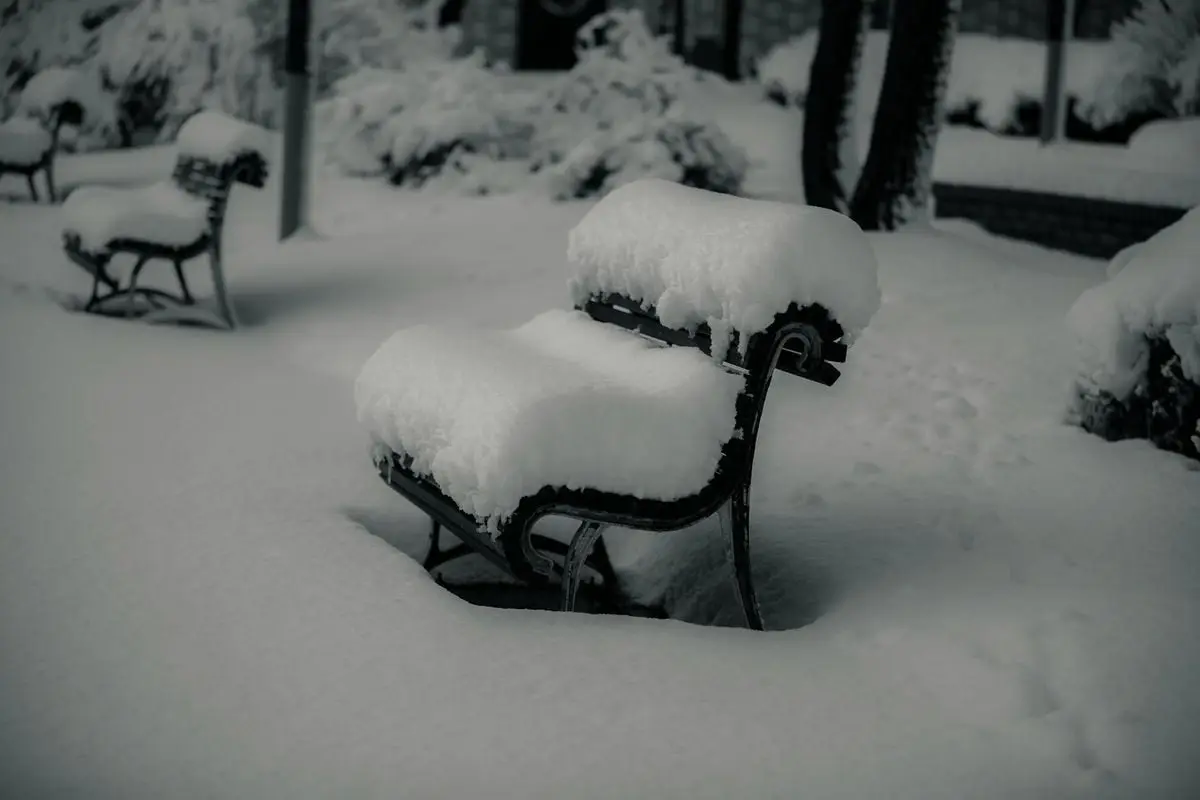Snow-covered benches evoke a serene winter scene in Sokcho-si, South Korea.