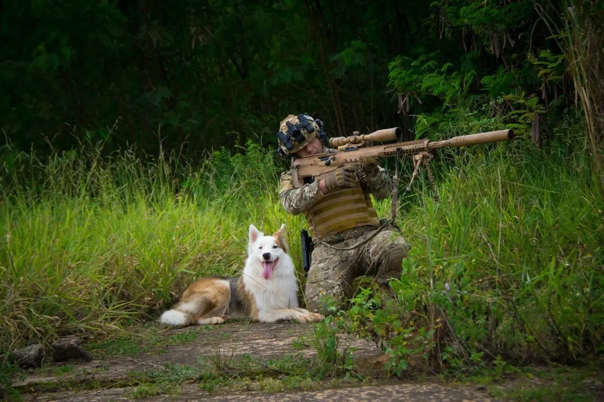 A soldier with a rifle and dog are camouflaged in a forest setting, ready for action.