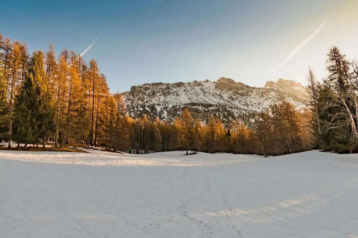 Sunrise over snow-covered Dolomites in Cortina d'Ampezzo, Italy with a golden pine forest.