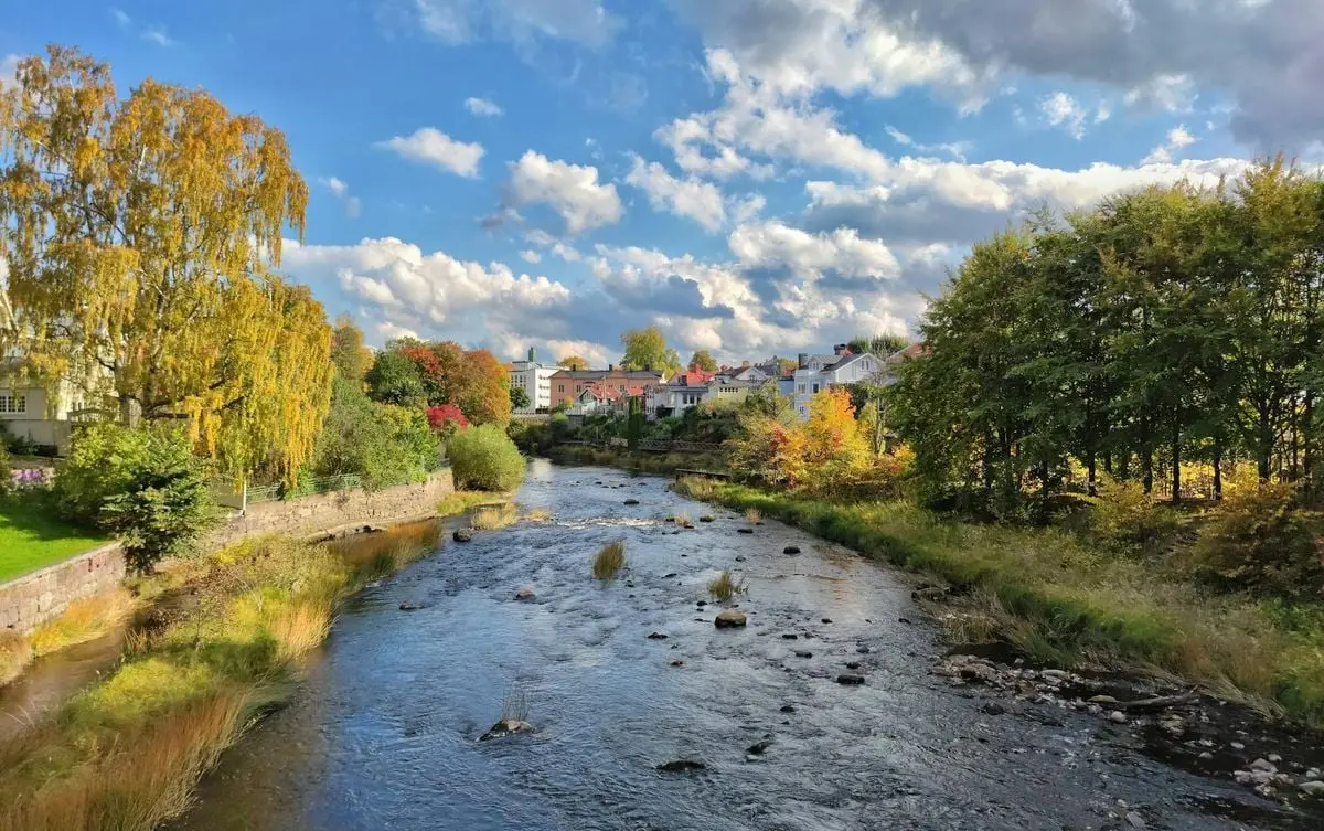 A picturesque autumn landscape featuring a quaint town by a flowing river surrounded by colorful trees.