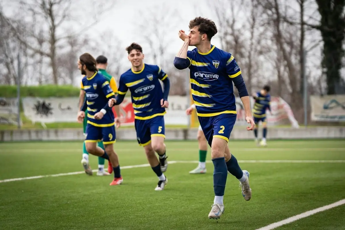 Young soccer players in blue uniforms celebrating a goal on a green field.