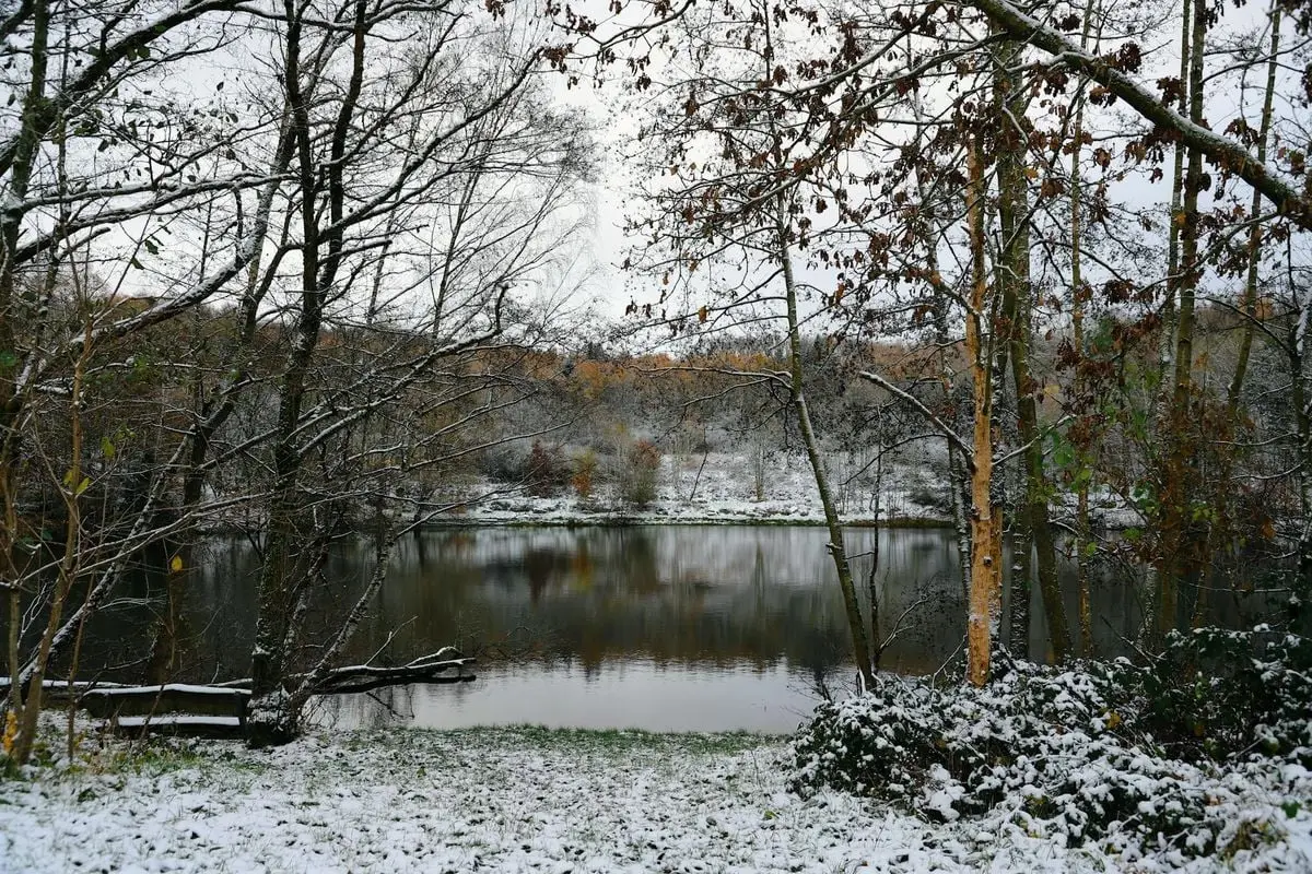 A peaceful snowy landscape with a lake surrounded by trees, captured in early winter.