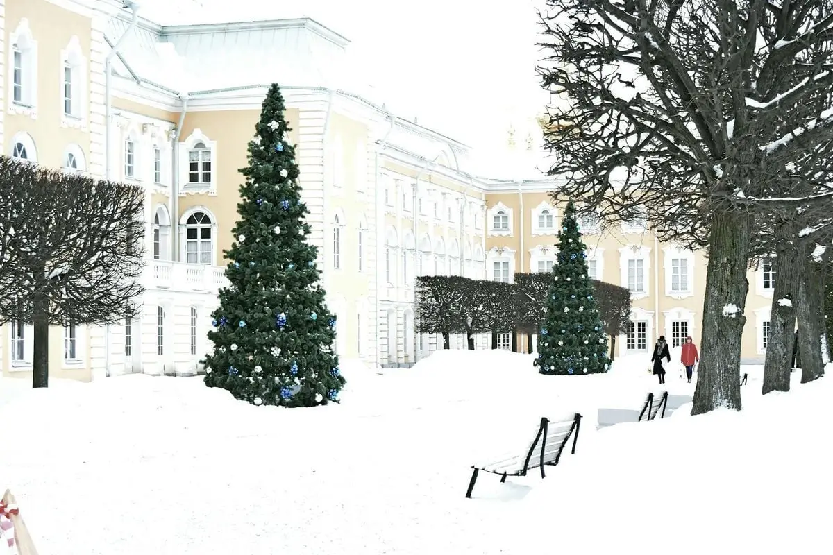 Snowy courtyard with Christmas trees and people walking, showcasing winter atmosphere.