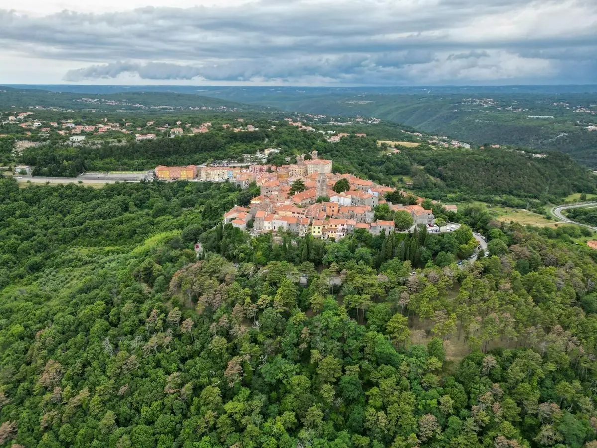 Scenic aerial view of Labin, Croatia showcasing its vibrant architecture and lush green forest in summer.