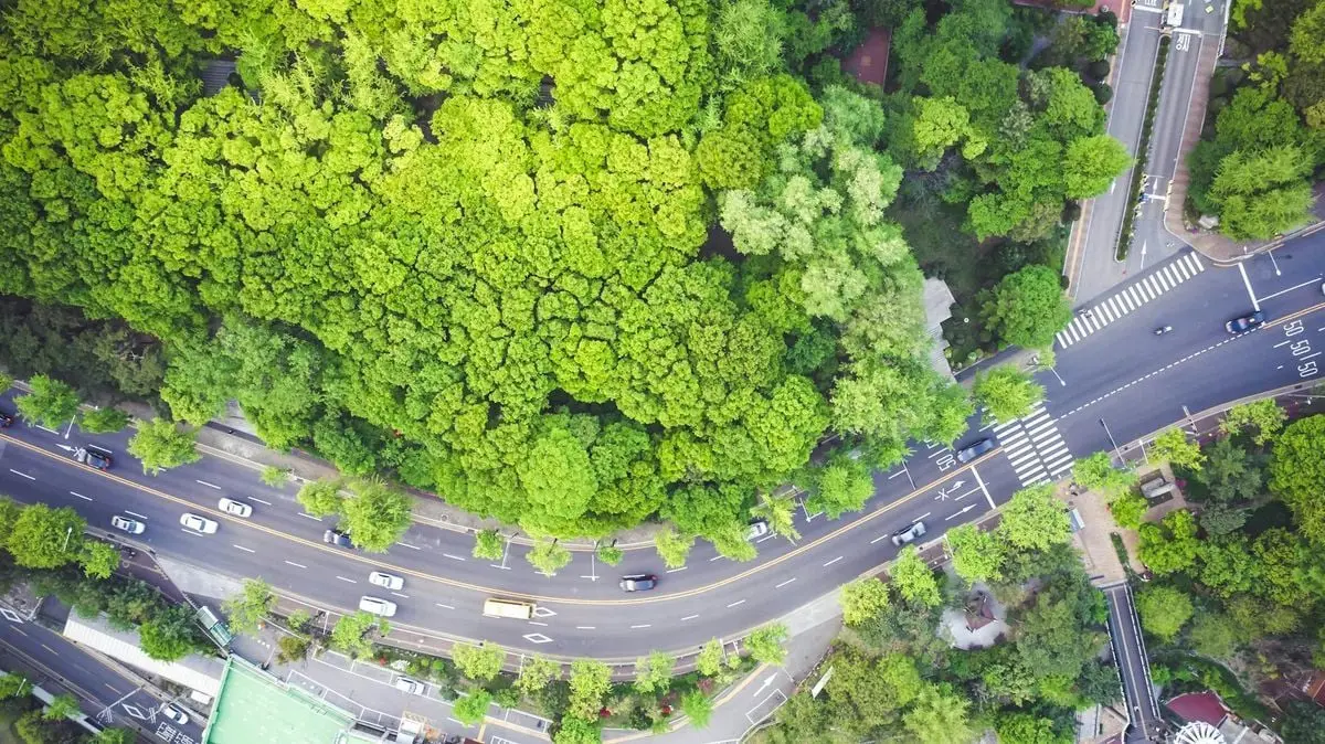 Aerial shot of lush green forest juxtaposed with a busy city road intersection.
