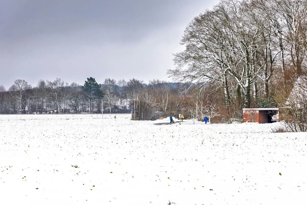 Snow-covered field with people walking near a winter forest.