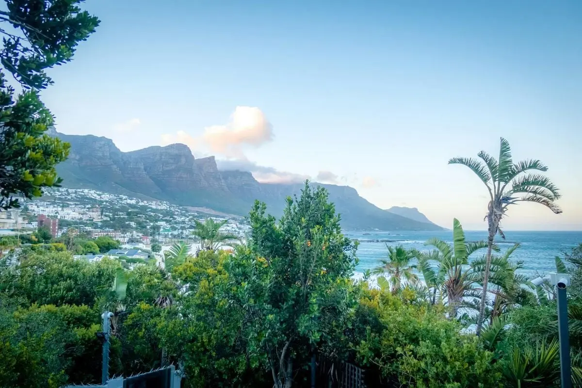 Breathtaking view of Cape Town's coastline with lush greenery and majestic mountains under a clear blue sky.