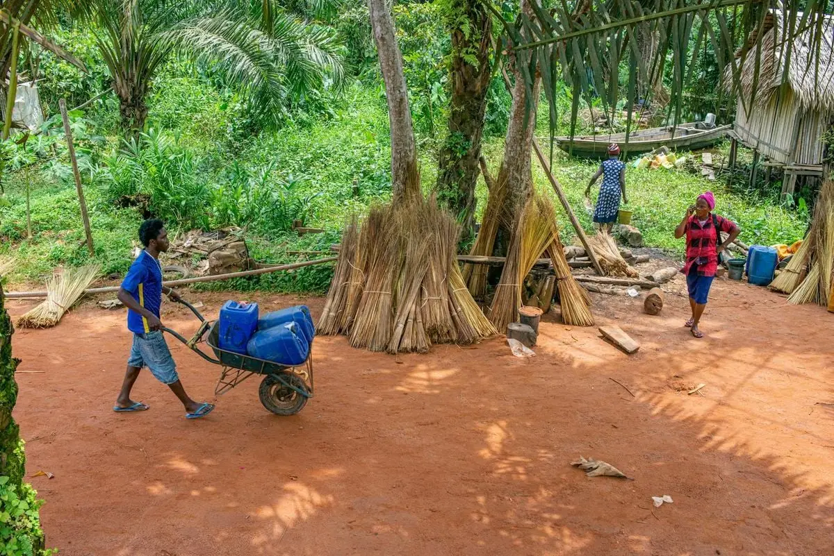 People working in a rural village farm setting, with lush greenery and traditional huts.