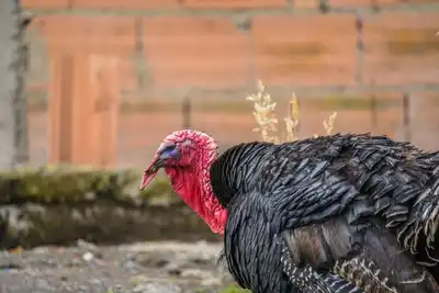 Vahe Kılıçarslan Ermenek'te