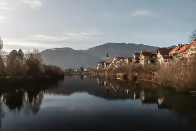Yaralı Kuşa Kalp Masajı Yaptı