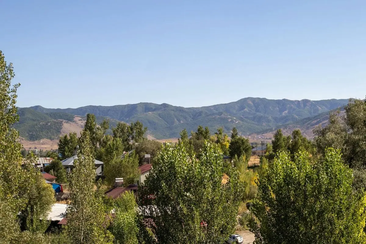 Capture the beauty of Tunceli, Türkiye with lush greenery and distant mountains.