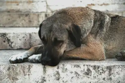 Yeni Vergi Paketi Komisyondan Geçti