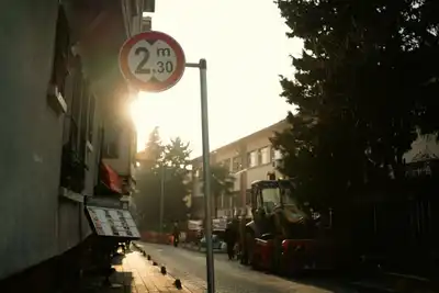 Yola inen leylekler ilgi odağı oldu