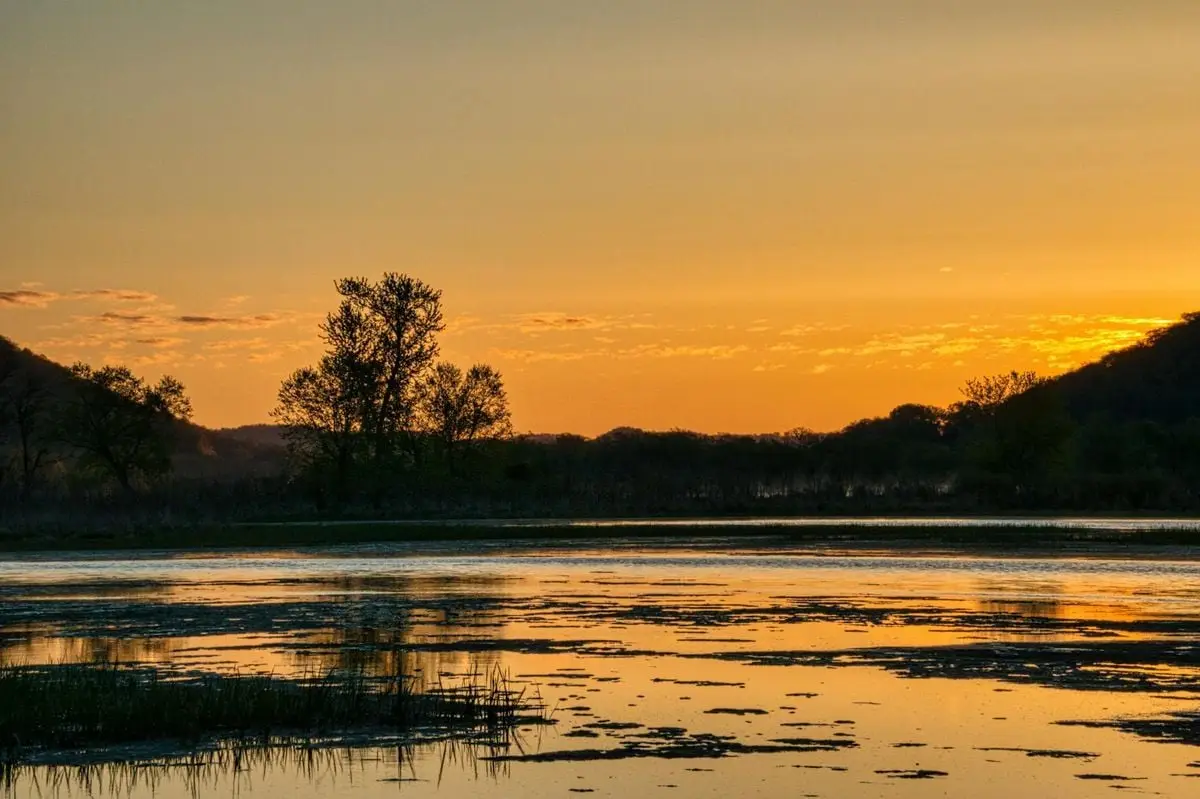 Stunning golden sunset reflecting over Minnesota wetlands with trees silhouetted and a tranquil sky.