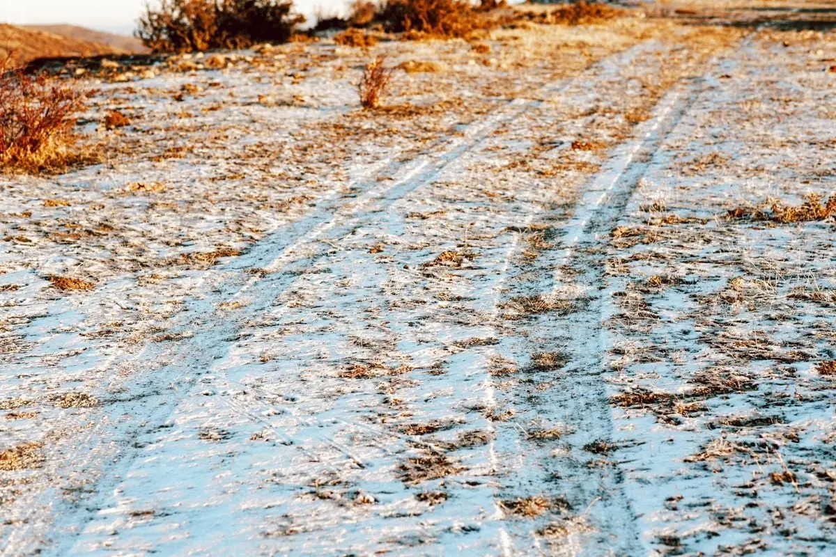 Scenic view of a snow-dusted trail with clear tire tracks in winter.