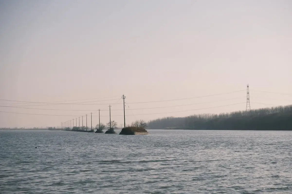 Electricity poles crossing a tranquil river with a forested horizon on a clear day.