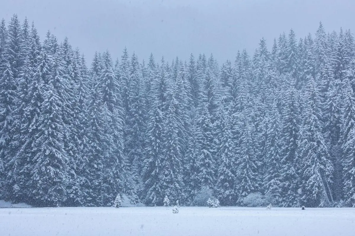 Free stock photo of alpine lake, balkan mountains, bulgaria