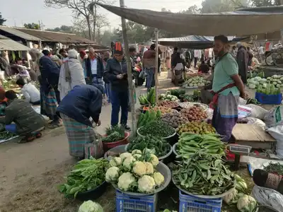 ZEYVE PAZARI