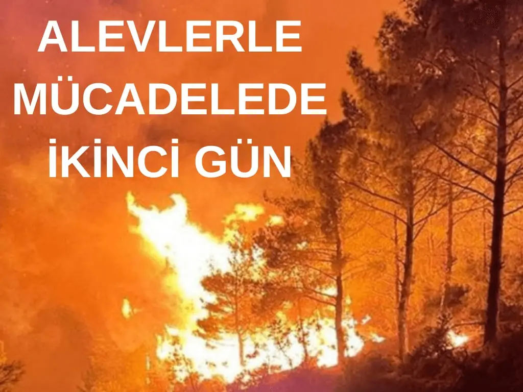 Gülnar'da orman yangını ikinci gününde!