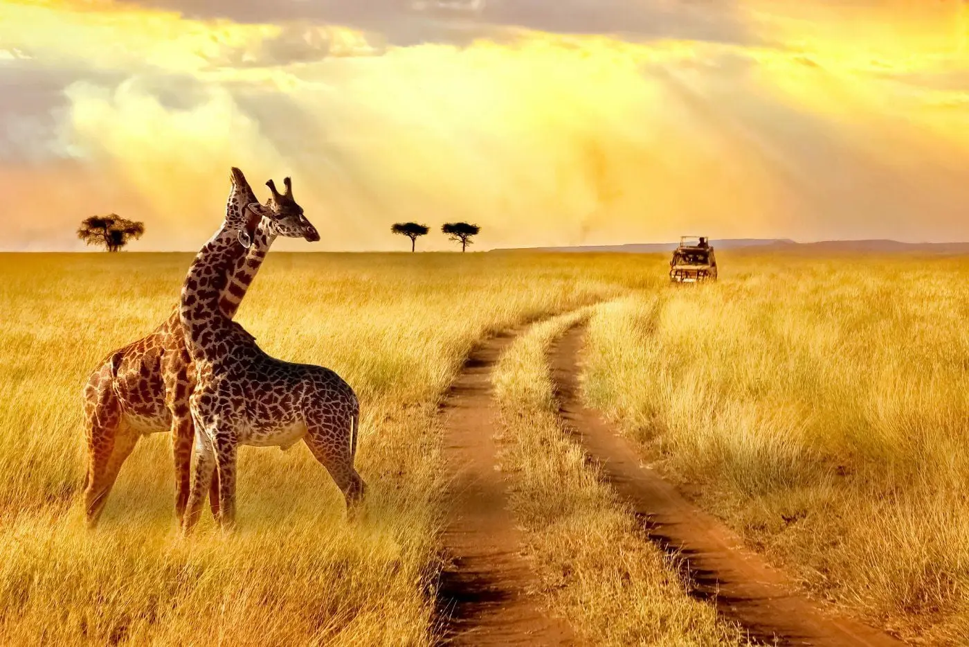 Anıl kardeşimiz Afrika Turu'na devam ediyor