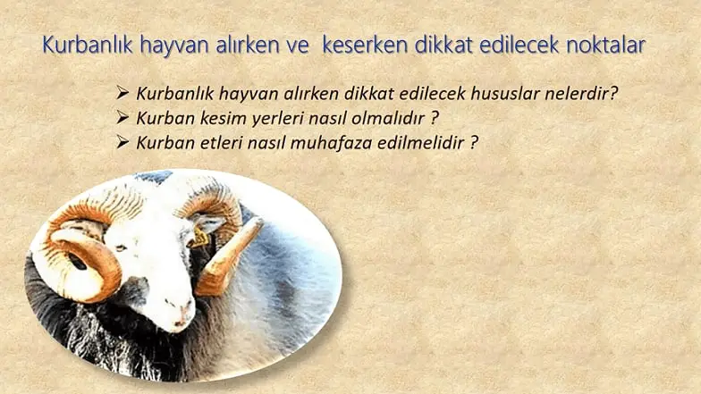 KURBANLIK HAYVAN ALIMI VE KESİMİNDE DİKKAT EDİLMESİ GEREKEN HUSUSLAR