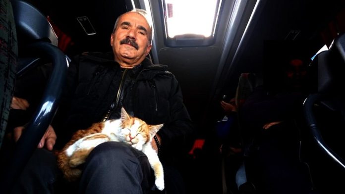 Otobüse Kaçak Binen Kedi İlgi Odağı Oldu